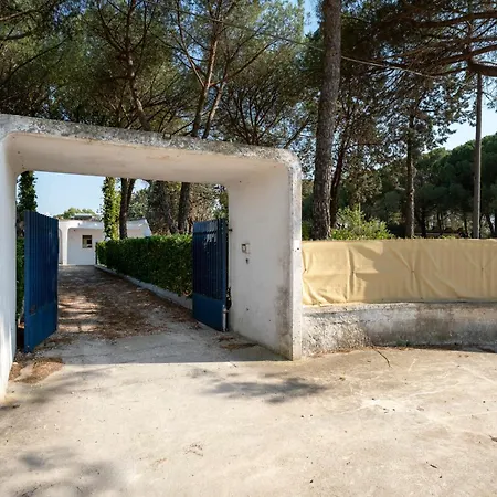 Guesthost - Giulia With Pool & Parking Francavilla Fontana